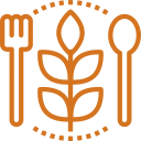 Menus végétarien