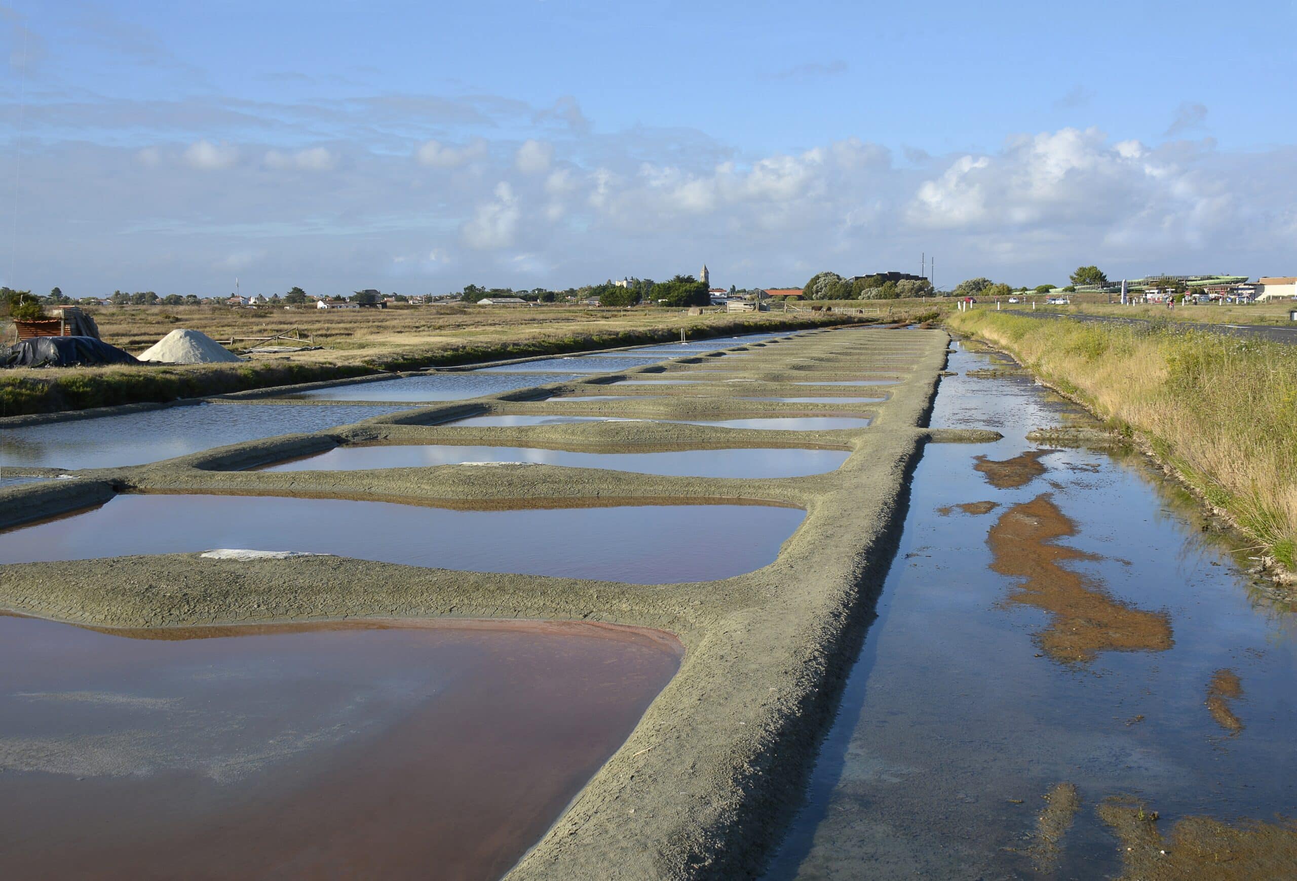 Visite des marais salants